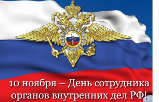 День полиции в ДОУ День полиции в ДОУ.