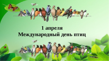 День птиц День птиц.