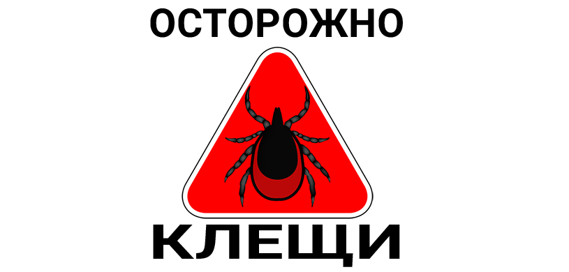 Осторожно, клещи! Осторожно, клещи!.